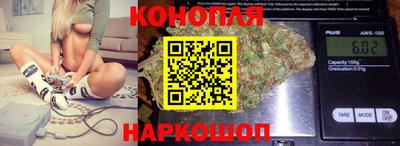 прущие крисы Можга